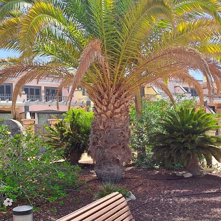 Modern Townhouse Ocean Front Tatil Evi Costa Adeje